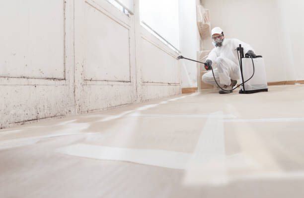 24/7 Emergency Bathroom Mold Removal experts in Canton, GA