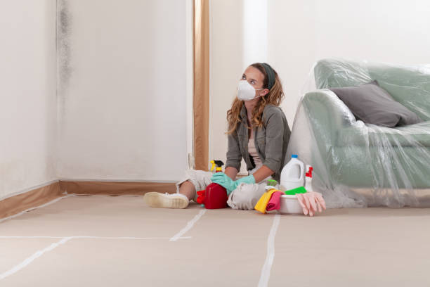 Reliable Bathroom Mold Removal contractor in Canton, GA by Mold Remediation HQ